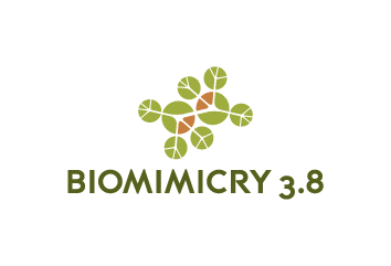 Biomimicry 3.8 Logo